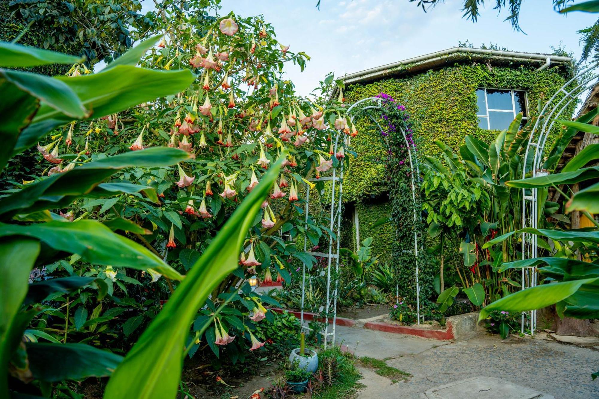 Dan Stam Hotel Arusha Bagian luar foto